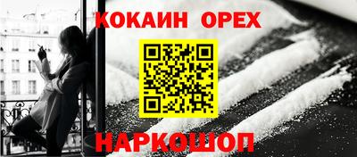 дурь Кингисепп