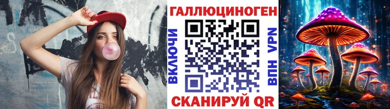 Псилоцибиновые грибы Psilocybe  дарк нет наркотические препараты  Гуково  где купить наркоту 