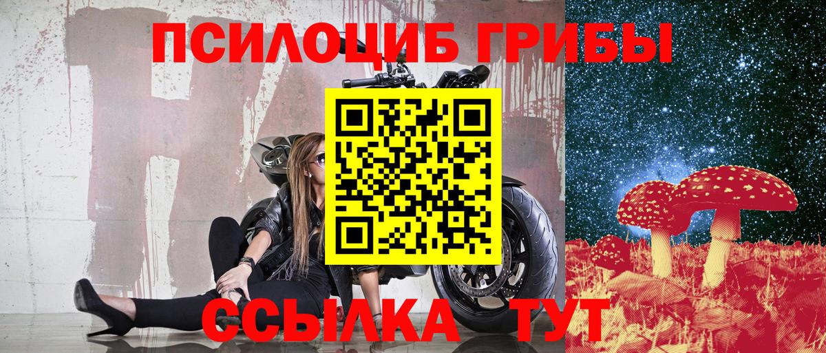 Галлюциногенные грибы Psilocybine cubensis Гуково