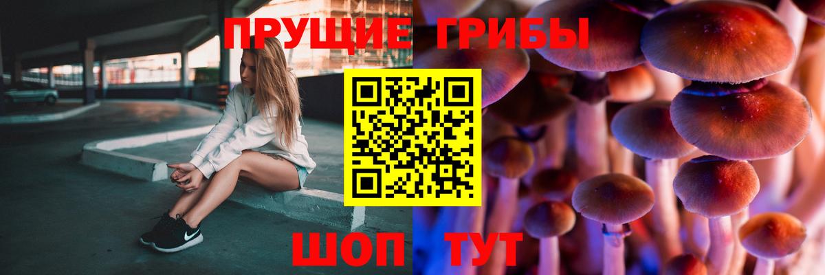 Гуково  Галлюциногенные грибы Cubensis  Галлюциногенные грибы Psilocybine cubensis  Вход с VPN 